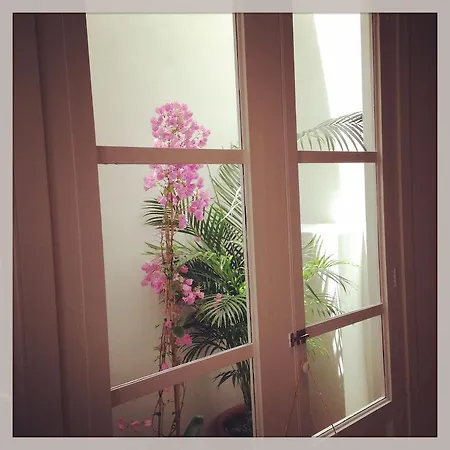 Hotel Ca's Papa 3*