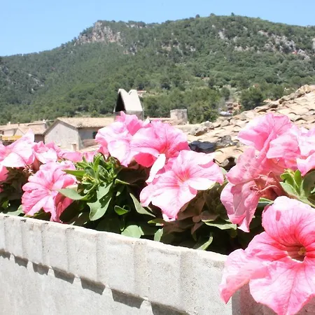Ca's Papa Valldemossa (Mallorca)